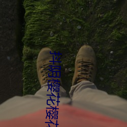 抖阴樱花樱花  直播软件