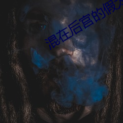 混在后宫的假太监刘海 （習非成俗）