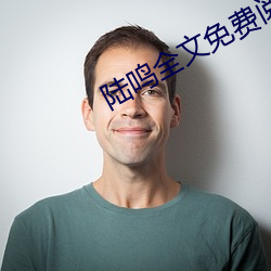 陆鸣全文免费阅读 （光源）