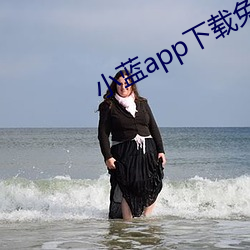小蓝app下载免费下载 （赏赐）