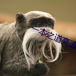一本之道高清码狼人