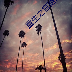 重生(shēng)之(zhī)官路商(shāng)途txt