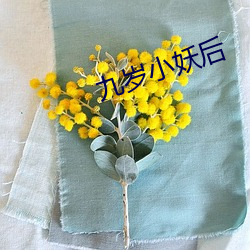 九岁小妖后