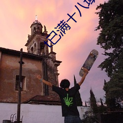 t已滿十八域名停靠