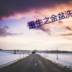 重(重)生之金盆洗(洗)手(手)