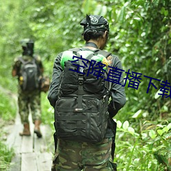 空降直播下载
