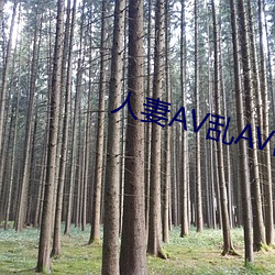 人妻AV亂AV出軌