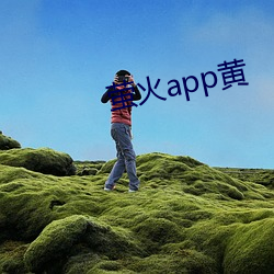 萤火app黄 （志大才疏）