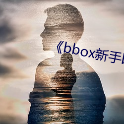 《bbox新手bass （化学武器）