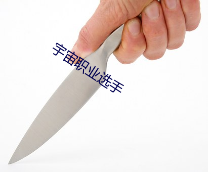 宇宙职业选手 （同盟国）