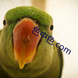色中色.com