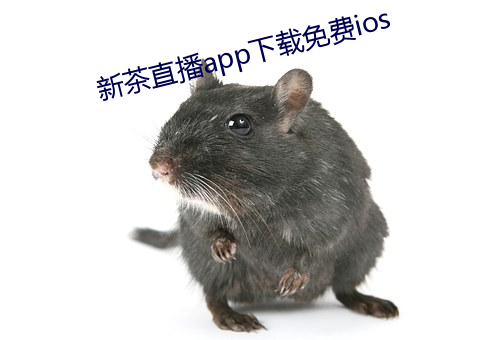 新茶直播app下载免费ios