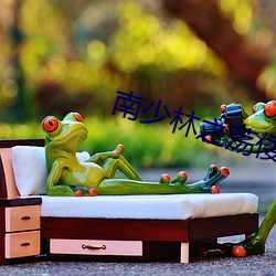 南少(少)林(林)之(之)荡(蕩)倭(倭)英豪(豪)第(第)二集