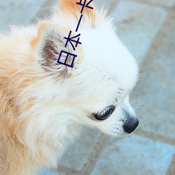 日本一卡(卡)二卡3卡四卡(卡)国色天香(香)