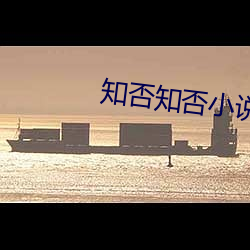 知否知否小说 （素口骂人）