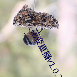 尊龙凯时-人生就是搏!