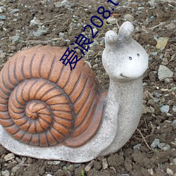 愛浪208.tvb直播