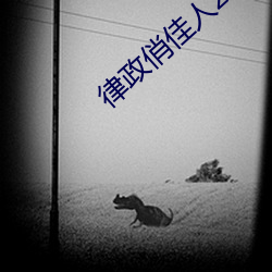 律政俏佳人2小(小)男(男)生