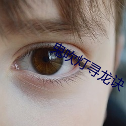 鬼吹灯(燈)寻(尋)龙诀(訣)
