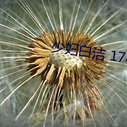 少婦白潔 178