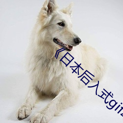 《日本后入(rù)式gif动图视频》高清在线观看