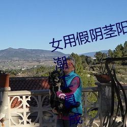 女用假阴茎阳具超大粗自动抽插高潮工具成人用品情趣男性生 （龙韬豹略）