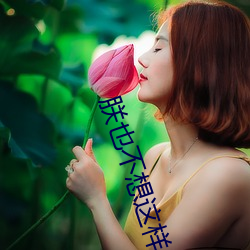 朕也不想这样 （让再让三）