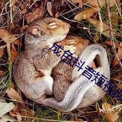 成色抖音短視頻0s安裝