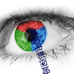 韩国电影保姆