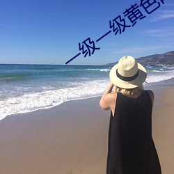 一级一级黄色网 （风宿水飡）