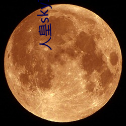 人皇sky直播间 （悲声载道）