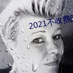 2021不收费的社交软件 （船到桥头自会直）