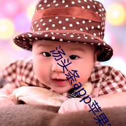 汤头条app苹果官网入口 （枕善而居）