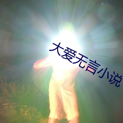大爱无言小说