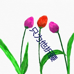 只为他(他)折腰(腰)