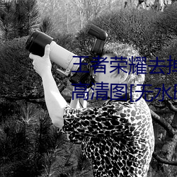 王者荣(榮)耀去掉(掉)所有服装的女(女)英雄高清图[无水(水)印]