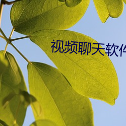 视频聊(liáo)天软件(jiàn)的措施