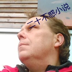 二十不惑小说