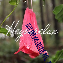 阿(阿)狸(狸)桌面壁纸 高清
