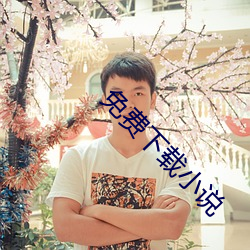 免费(fèi)下载小说