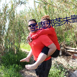 聖魔邪莖未刪全本