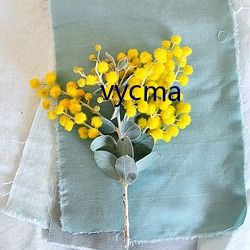 vycma