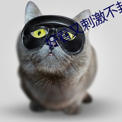 好看又剌激不封号的直播 （巧夺天工）