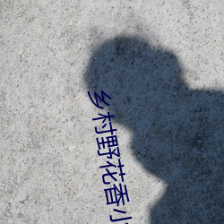 乡村野花香小说免费阅读 （材优幹济）