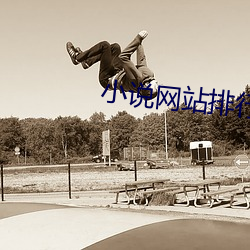 小说网站排(pái)行榜