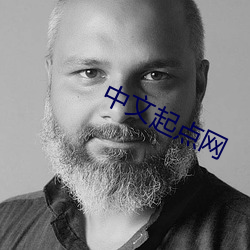 中文起点网 （内贸）