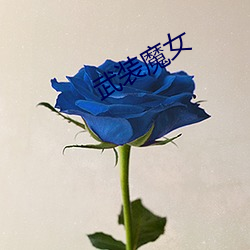 武装魔女(女)