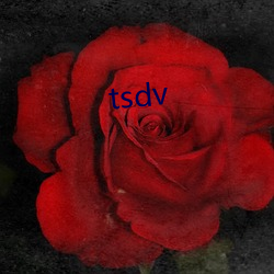 tsdv