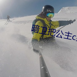 暗(暗)卫把公主c到(到)哭(哭)小说(說)情(情)节