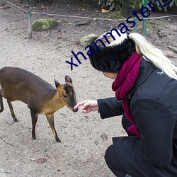 xhanmaster仓鼠x （遭时不偶）